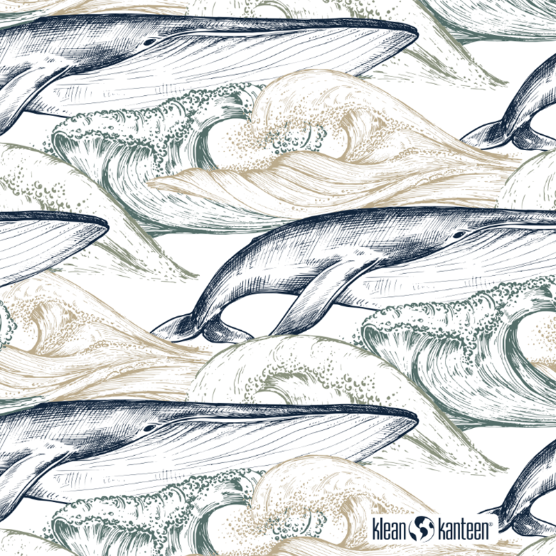 20oz TKWide with Twist Cap - Ocean Day - Fresh Motion Collection