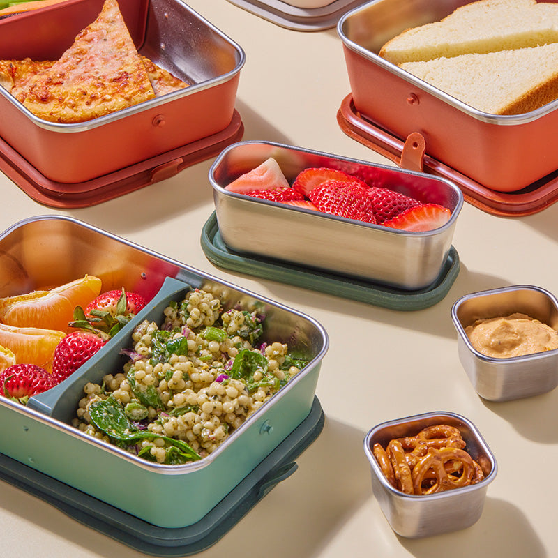 10oz Rise Food Box - Snack - Fresh Motion Collection